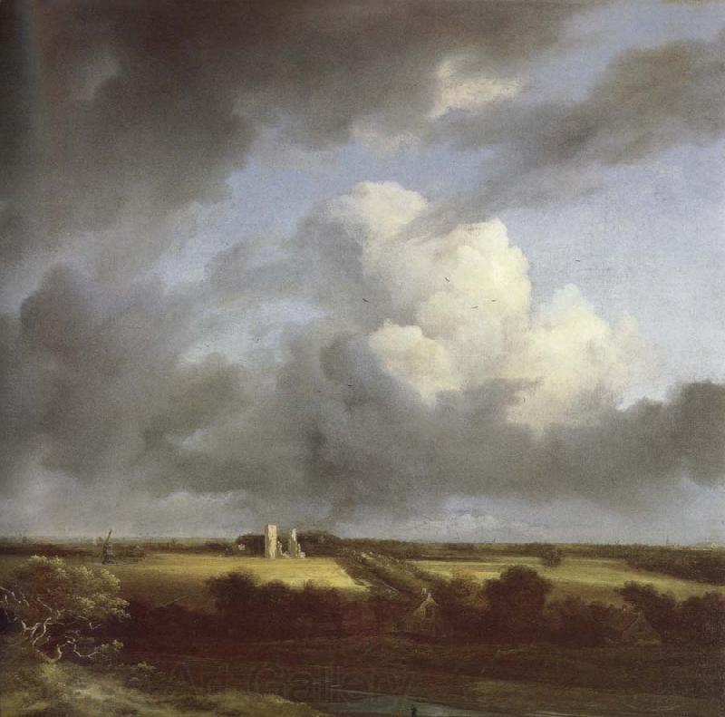 Jacob van Ruisdael View of the Ruins of Huis ter Kleef and Haarlem Spain oil painting art
